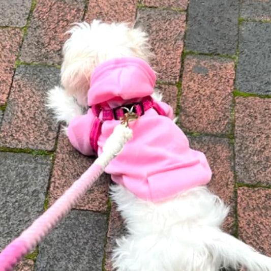 Warm Dog Hoodie - With Pockets - Pink - Size M