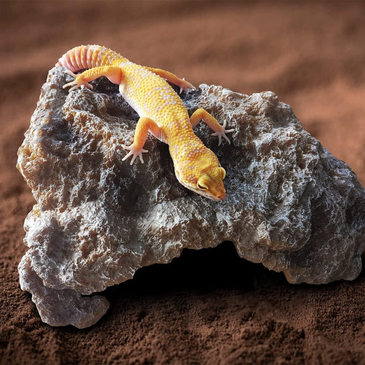 Reptile Hide Cave, Large Resin Bearded Dragon Hideout Rock Caves Snake Hide, Natural Terrarium Habitat Decor Ornament for Leopard Gecko Lizard Turtle Frog, (S)