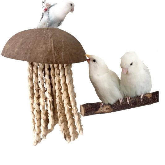 Bird Chew Toys, Coconut Shell with Corn Husks for Parrot Beak Grinding, Coconut Shell Shredding Toy for Parakeet Lovebird Conure Budgies Cockatiel