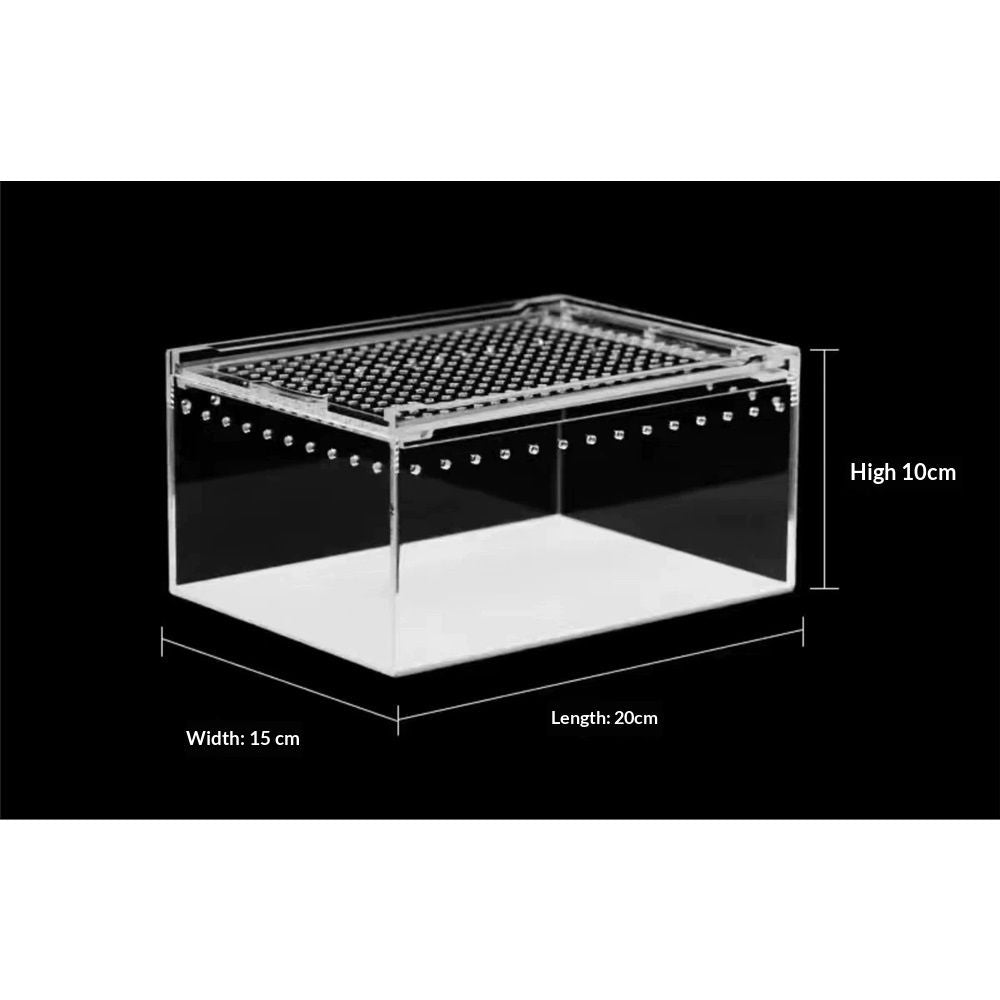 Reptile Terrarium Enclosure Acrylic Tarantula Breeding Box Magnetic Hermit Crab Habitat Tank Transparent Jumping Spider Cage for Insect Snail Amphibians Sling Isopods(20*15*10cm)