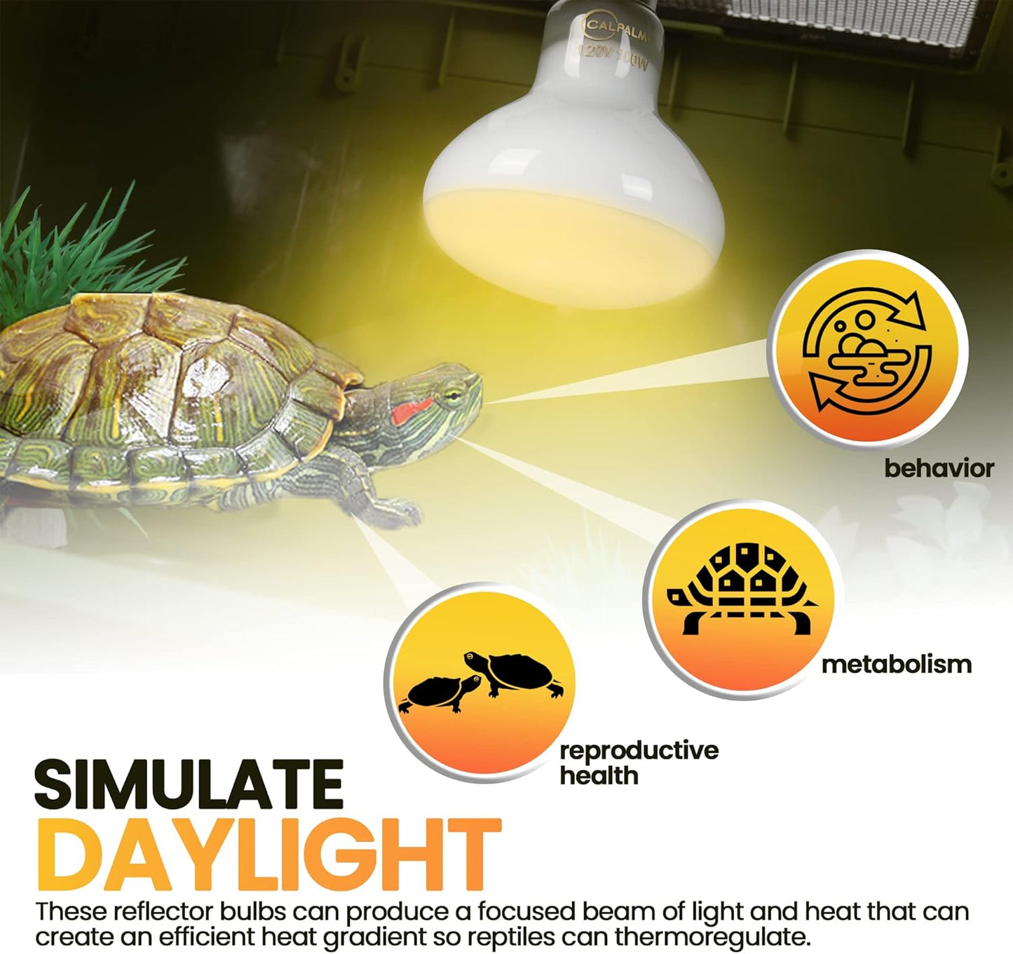 (4-Pack) Reptile Bowls and 100W UVA Heat Lamp Bulbs, (2-Pack) Water and Food Bowls and 4-Pack Reptile Heat Lamp Bulbs
