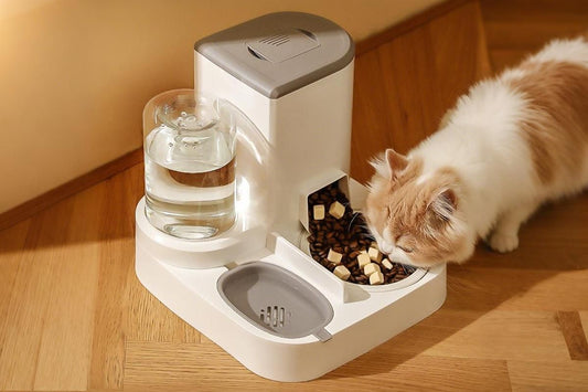 2 in 1 Automatic Cat Feeder and Waterer Ceramic Pet Bowl for Cats and Small Dogs