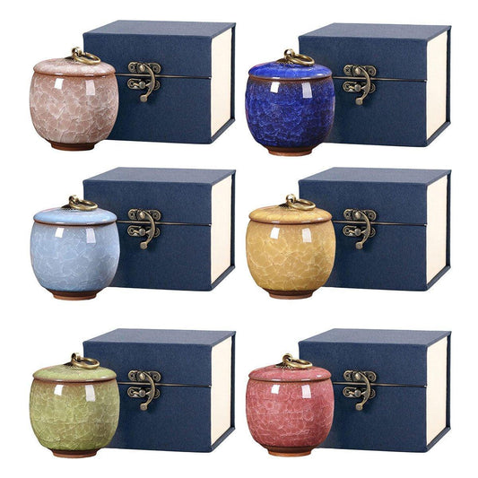 Small Pet Urn for Ashes Memorial Keepsake Urns for Dog Cat Cremation Remains - Blue