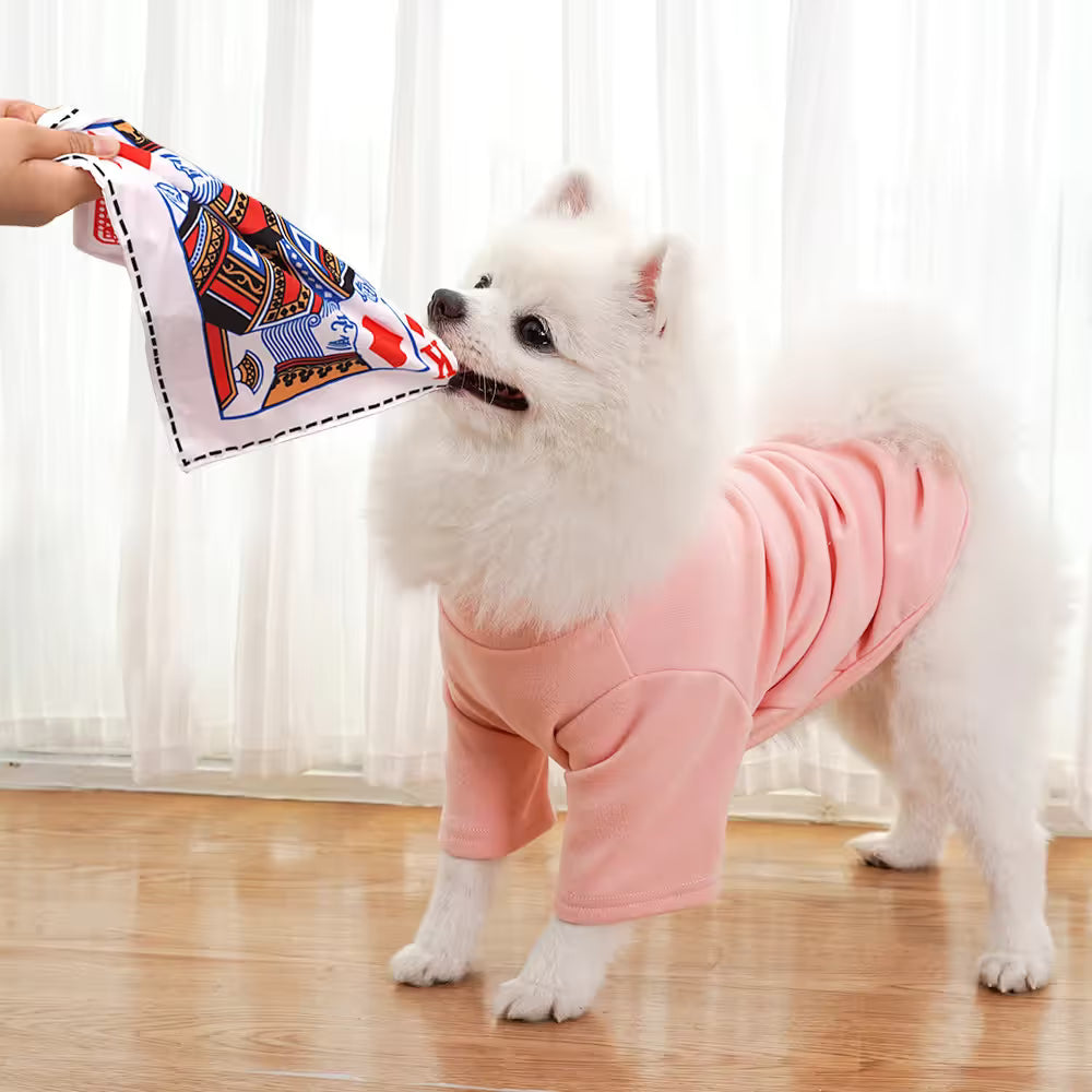 Dog Chew Toy Set - 10 Piece Crinkle Newspaper Sound Toys for Dogs