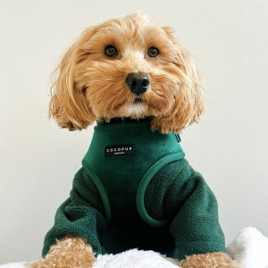 Cocopup London – LUXE Adjustable Neck Harness – Forest Green Velvet