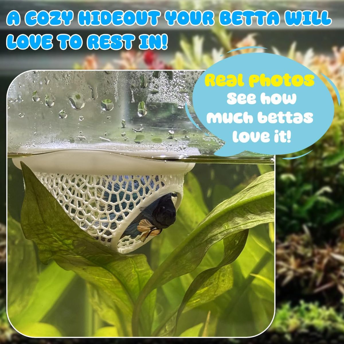Floating Betta Hide & Shrimp Cave – 3D Printed Aquarium Hammock, Feeder & Rest Spot – Floating Betta Log & Cave Decor for Nano Tanks, Corydoras, Shrimp & Small Fish – Safe PLA, Patent Pending - Black - Size S