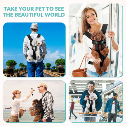 Dog Harness - Black - Size XL