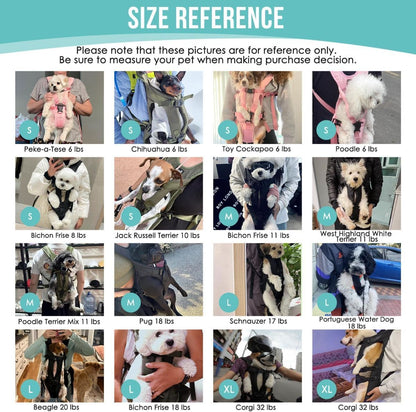 Dog Harness - Black - Size XL