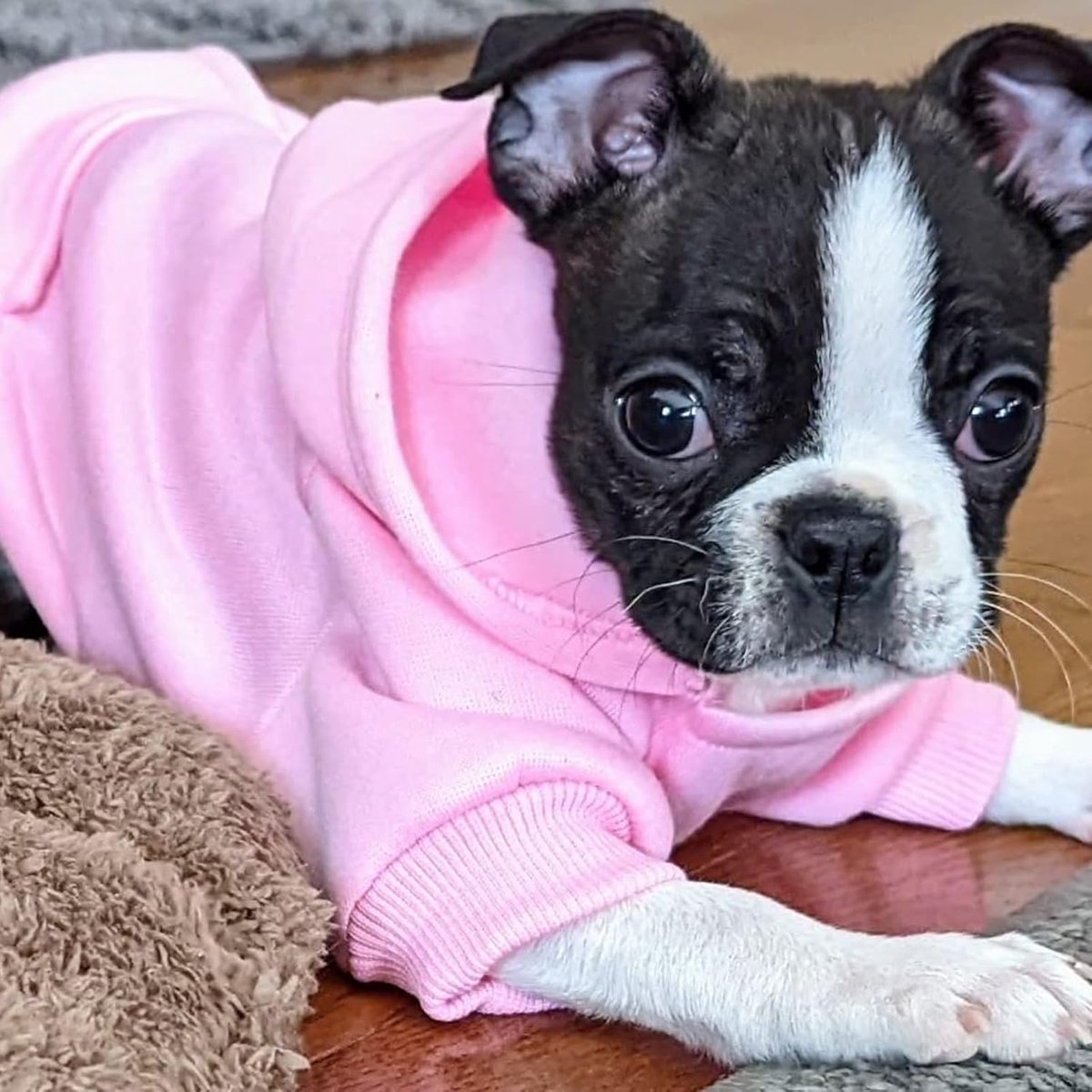 Warm Dog Hoodie - With Pockets - Pink - Size M