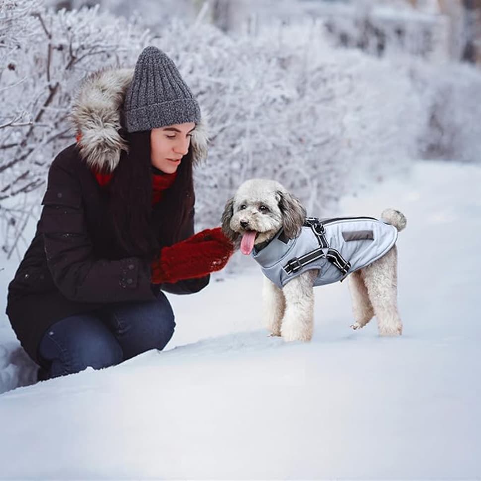 Warm Soft Winter Dog Vest with Stand Collar, Wind and Waterproof, Blue, for Small Medium Large Dogs, XXL