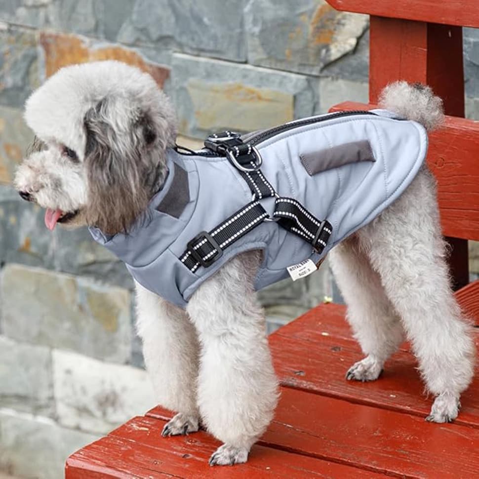 Warm Soft Winter Dog Vest with Stand Collar, Wind and Waterproof, Blue, for Small Medium Large Dogs, XXL