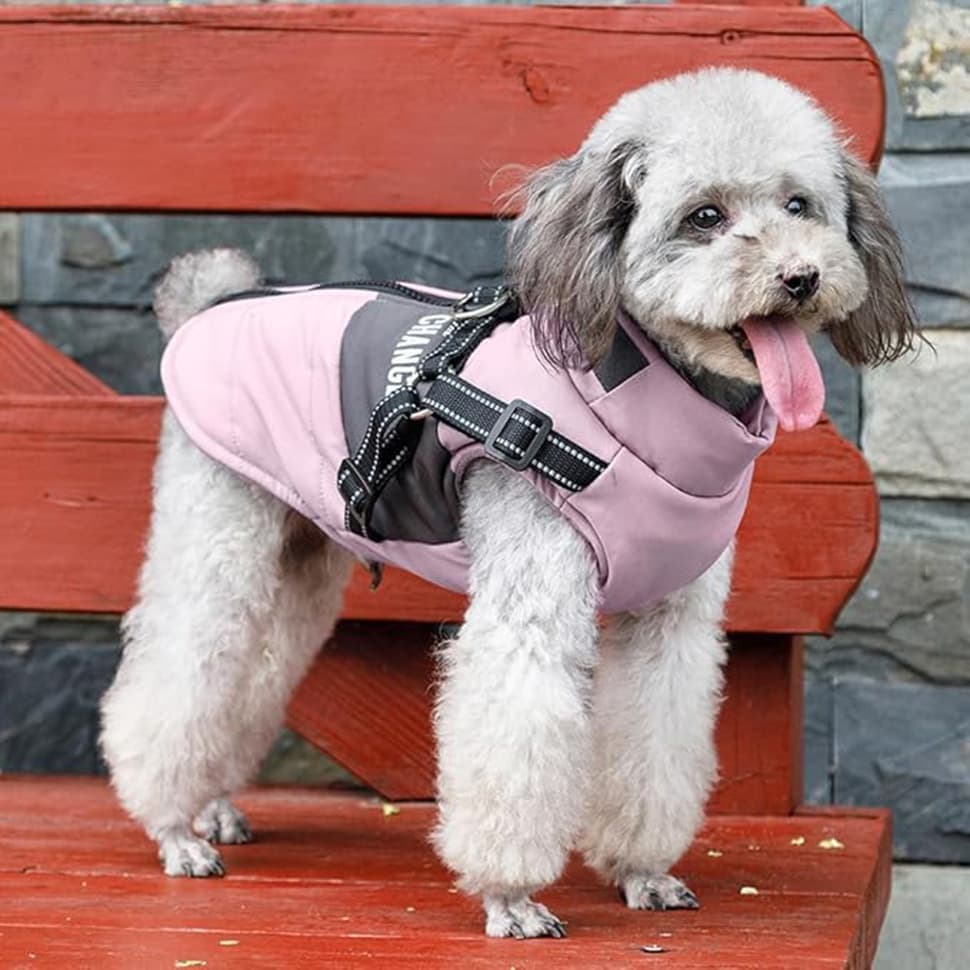 Warm Soft Winter Jacket, Wind and Waterproof, with Stand Collar - S, Pink