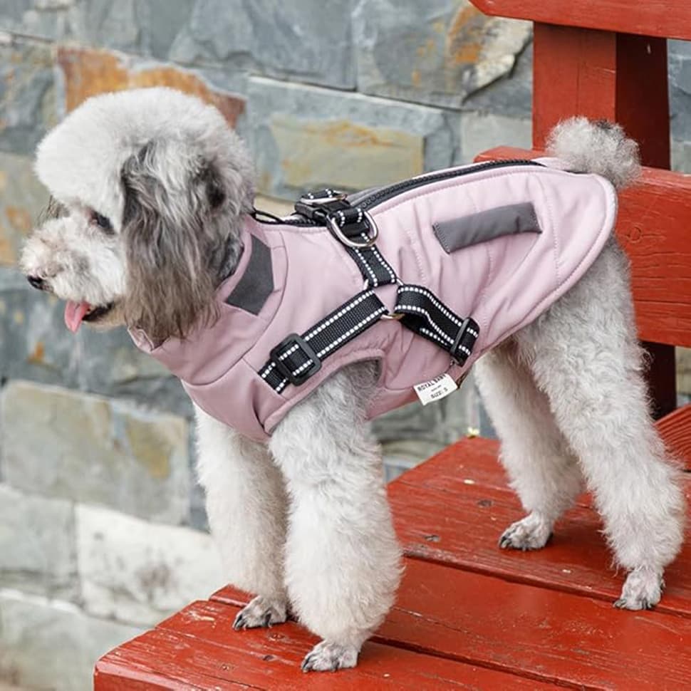 Warm Soft Winter Jacket, Wind and Waterproof, with Stand Collar - S, Pink