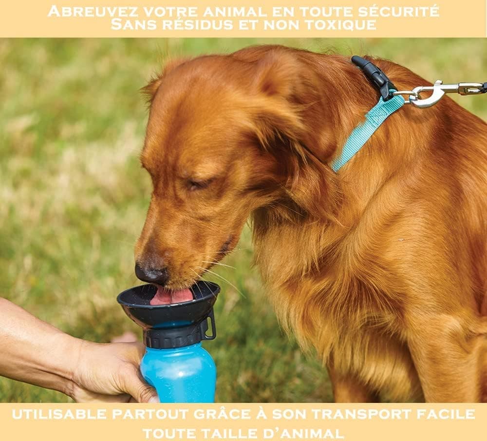 Portable Dog Water Bottle with Bowl 500ml, Blue, Compatible with Dogs