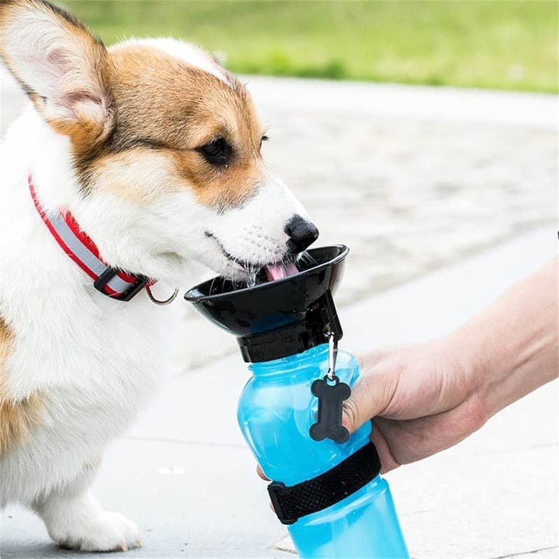 Portable Dog Water Bottle with Bowl 500ml, Blue, Compatible with Dogs