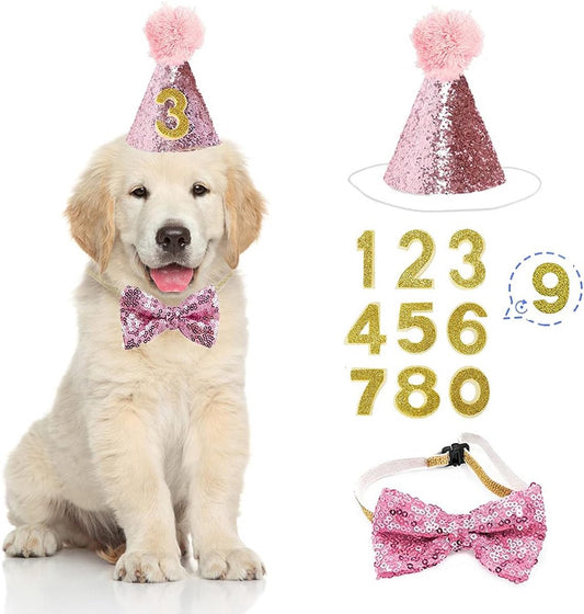 Birthday hats for dogs/cats - Party hat set for dogs - Includes bow tie and blue number - Suitable as decoration for a puppy or kitten - Clothing, headwear and accessories for pets, set of 3 (pink)