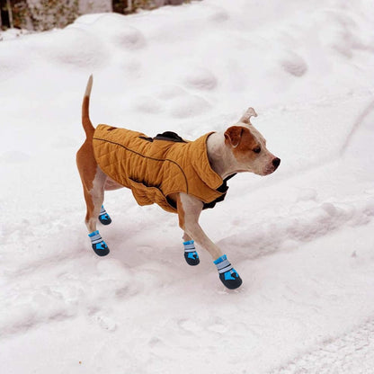 Dog Boots for Dogs Non-Slip, Waterproof Dog Booties for Outdoor, Dog Shoes for Medium to Large Dogs with Rugged Sole M Blue
