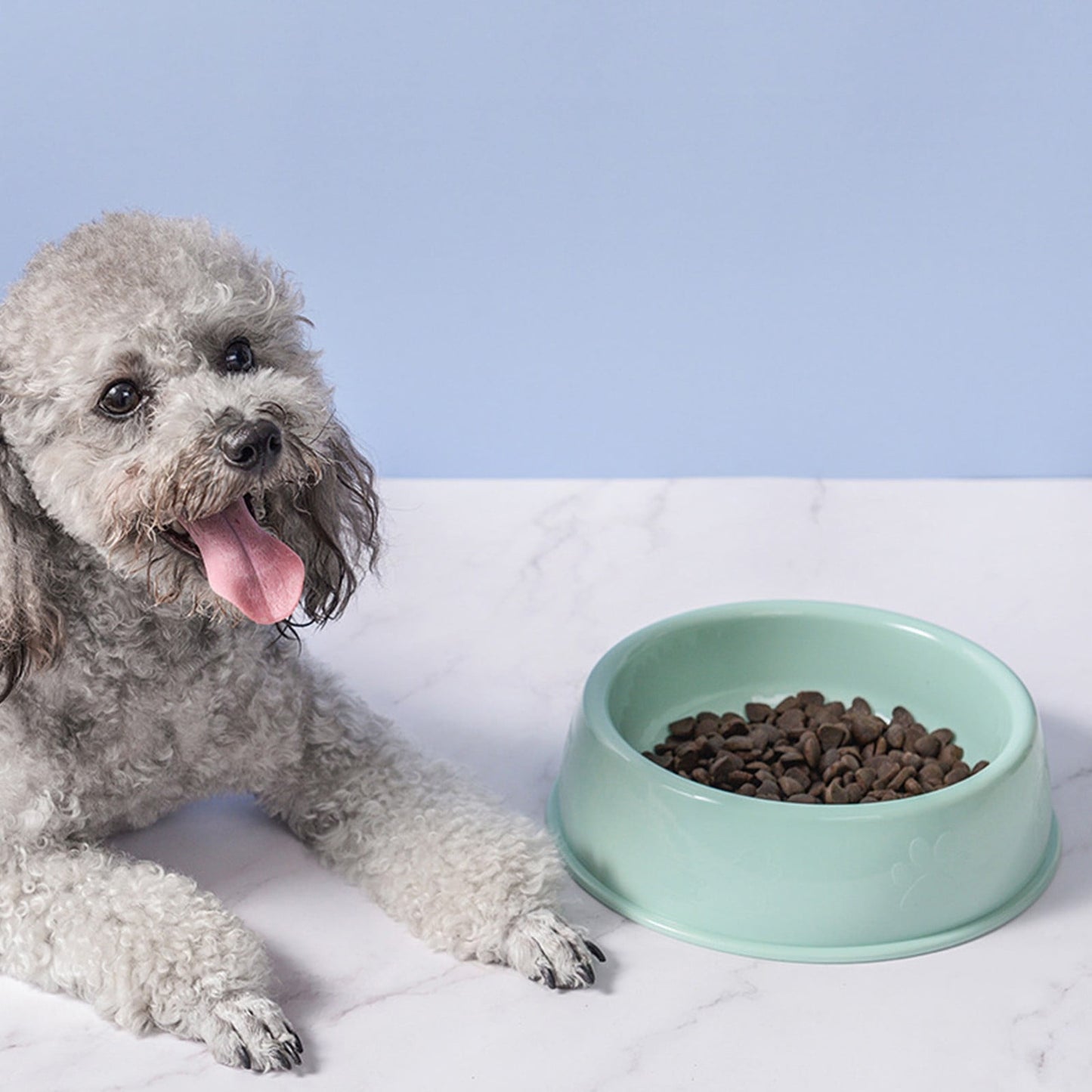 Plastic Dog Bowl,Non Slip Candy Color Plastic Pet Food Bowl,Shallow Cat Food Dish ,Reusable Pet Food And Water Bowl,Puppy Cat Animal Feeding Bowls ,Pet Food Container Storage Easy To Clean,Pink 8.27" x 2.28" x 7.09" Green