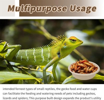 Tutuviw Biodegradable Disposable Paper Pet Bowls Bulk,100Pcs 1OZ Paper Feeding Cups,Sturdy and Leakproof Feeder Dish,Non-Toxic Food and Water Dishes for Lizards/Spiders/Reptiles/Small Dogs/Cats