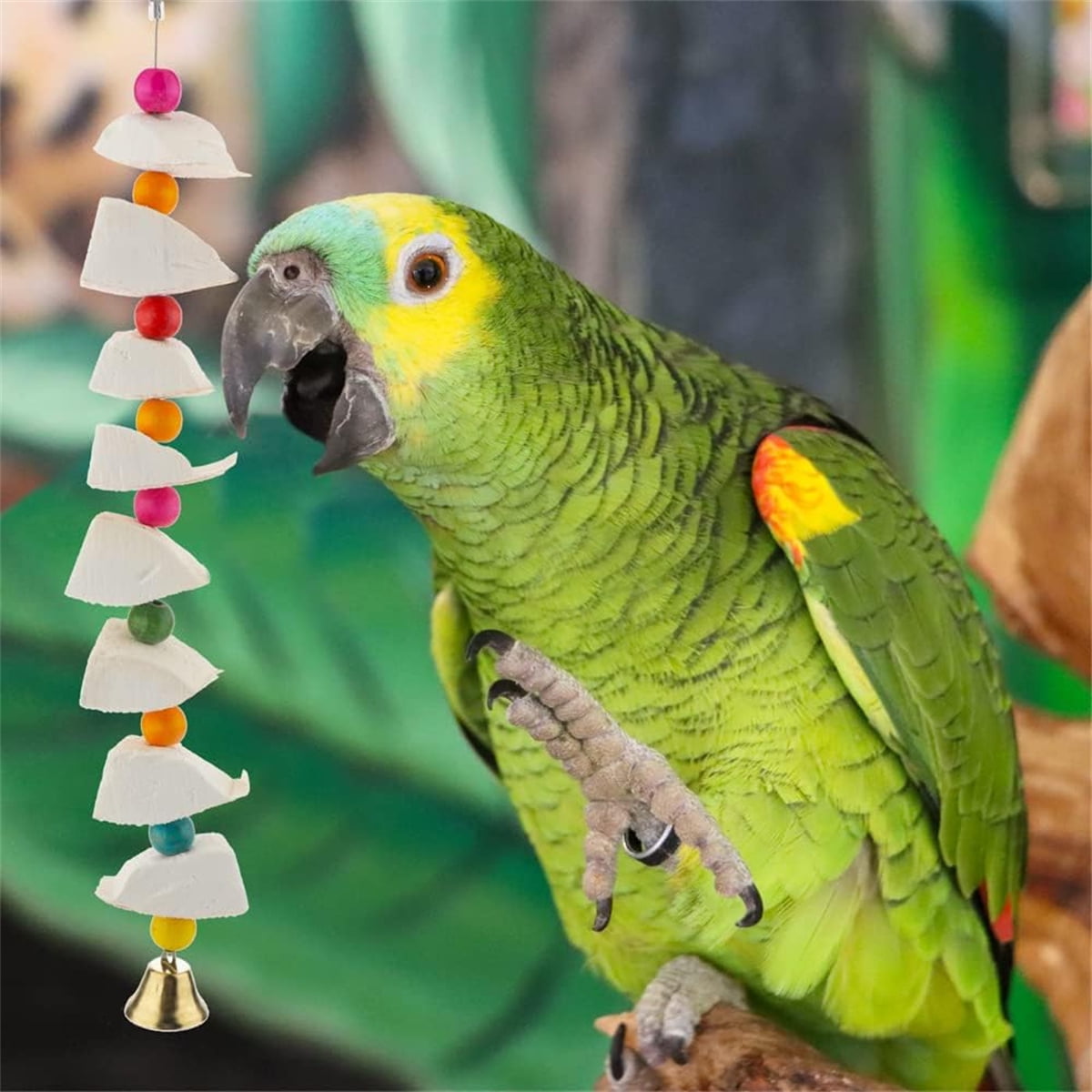 Tutuviw 2Pcs Bird Cuttlebone Chew Toy,Natural Calcium Cuddle Bone Sharp Beaks Cage Toy,Large Parrot Chewing Calcium Cuttlebone with Bells,Calcium Stone Chew Toy Grinding Teeth for Parrot Hamster
