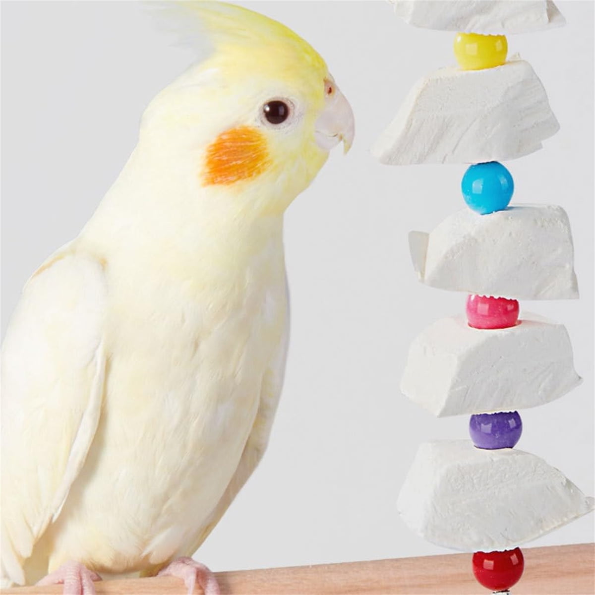 Tutuviw 2Pcs Bird Cuttlebone Chew Toy,Natural Calcium Cuddle Bone Sharp Beaks Cage Toy,Large Parrot Chewing Calcium Cuttlebone with Bells,Calcium Stone Chew Toy Grinding Teeth for Parrot Hamster