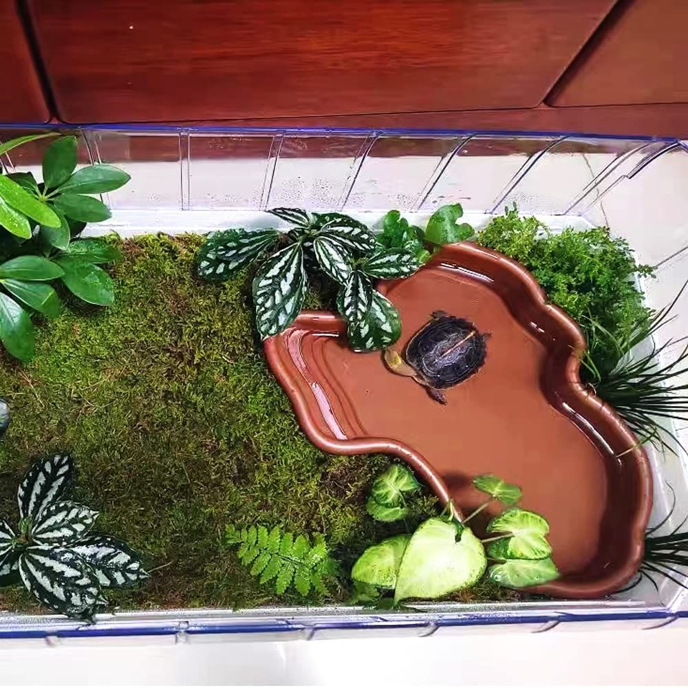 Extra Large Reptile Bathing Pool Reptile Feeding Dish Water Bowl with Ramp Aquarium Ornament for Gecko, Snake, Turtle, Bearded Dragon, Lizard Bath (Brown)
