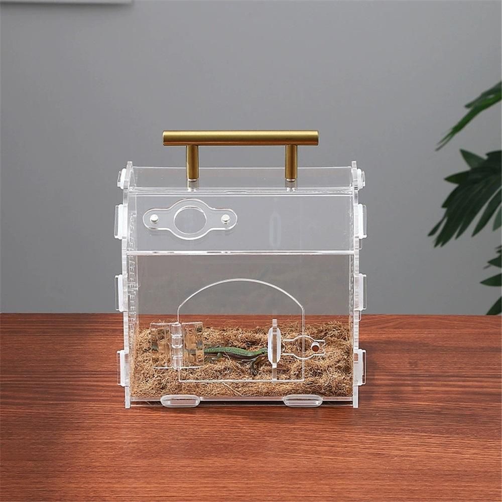 Jumping Spider Enclosure Tarantula Enclosure Insect Terrarium with Handle and Magnetic Door Transparent Terrarium for Reptiles, Amphibians and Spiders