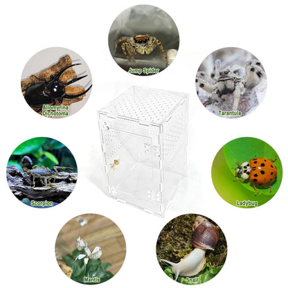 Acrylic Jumping Spider Enclosure Box: Transparent Habitat with Ventilation Holes, Escape-Proof Terrarium for Reptile Pet, Easy to Clean & Observe