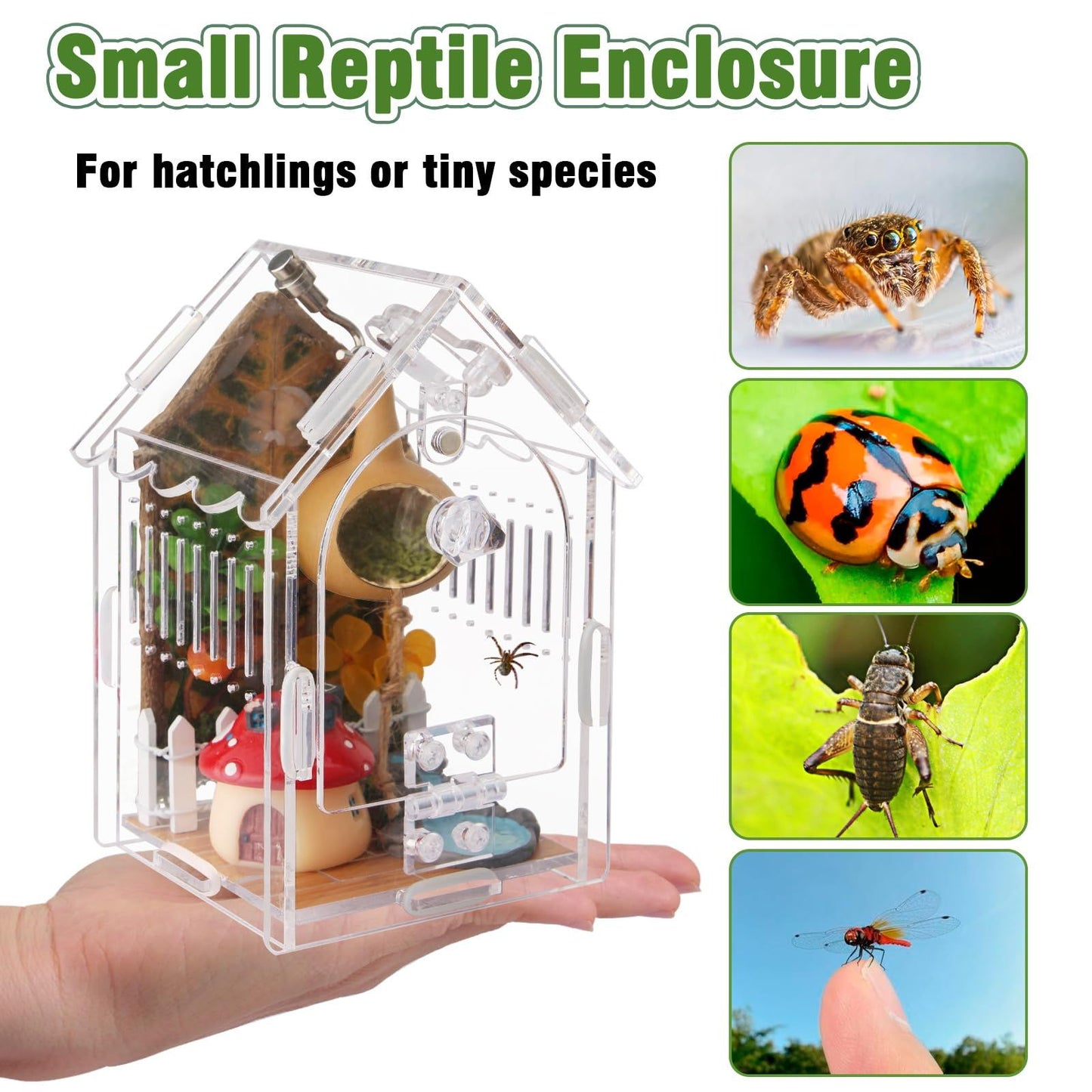 Jumping Spider Enclosure - Internal Dimensions  Acrylic Terrarium Kit for Tarantulas/Mantis/Reptiles with Magnetic Door, Ventilation & Easy Assembly（Single hinge page）