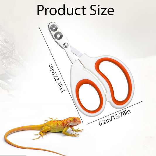 Vin Beauty Bearded Dragon Nail Clippers, Stainless Steel Lizard Nail Clippers, Bearded Dragon Supplies, Bearded Dragon Nail Scissors for Small Reptiles, Turtle, Chameleon, Lguana, Hedgehog