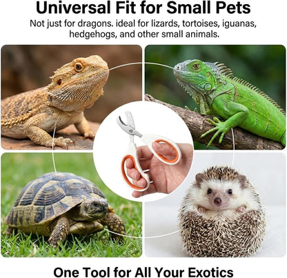 Vin Beauty Bearded Dragon Nail Clippers, Stainless Steel Lizard Nail Clippers, Bearded Dragon Supplies, Bearded Dragon Nail Scissors for Small Reptiles, Turtle, Chameleon, Lguana, Hedgehog