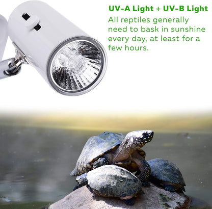 4-Pack 75W UVA+UVB Bulbs | Heat and Light for Reptiles and Amphibian Tanks, Terrariums and Cages | Works with Various Lamp Fixtures