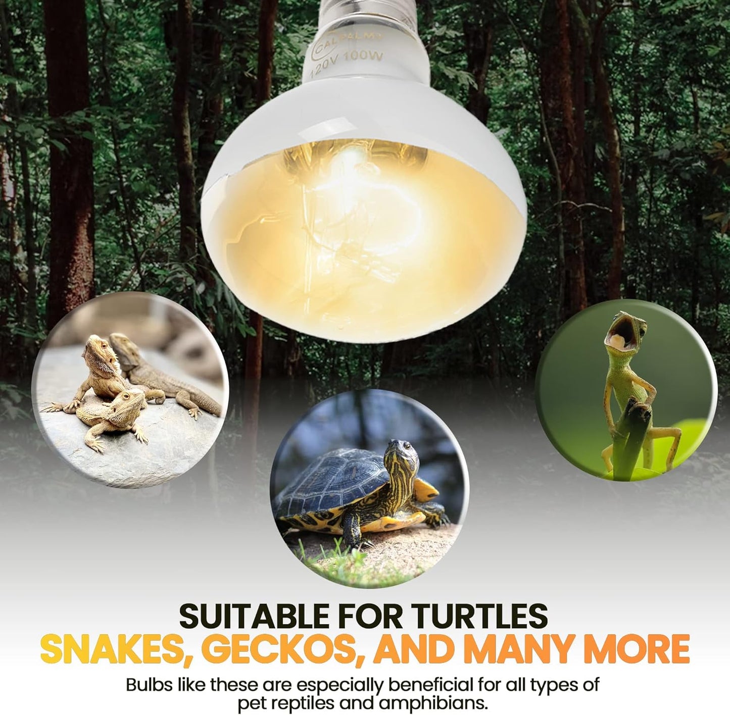 (4-Pack 100W Reptile Heat Lamp Bulbs - UVA Daylight Basking Light Bulbs for Reptiles, Turtles, Lizard, Bearded Dragon and Amphibians - 120V R80 Reflector Bulbs with E26 Screw Cap Base