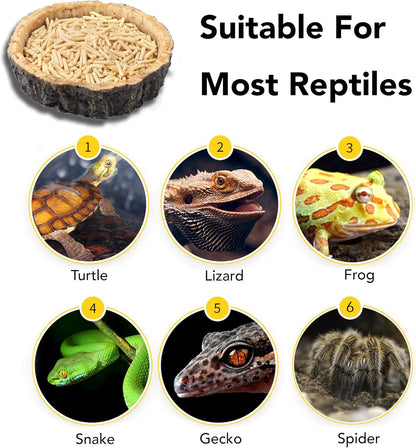 (4-Pack) Reptile Bowls and 100W UVA Heat Lamp Bulbs, (2-Pack) Water and Food Bowls and 4-Pack Reptile Heat Lamp Bulbs