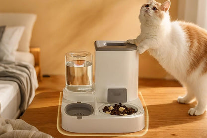 2 in 1 Automatic Cat Feeder and Waterer Ceramic Pet Bowl for Cats and Small Dogs