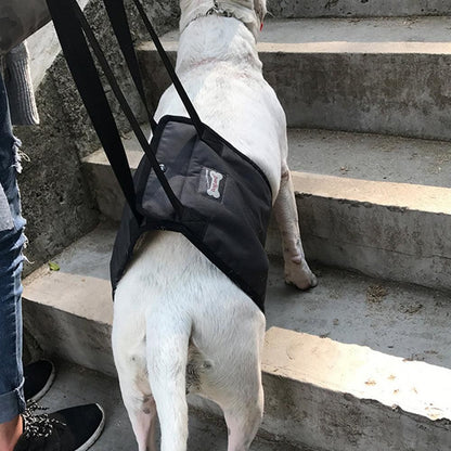 Pet Dog Support Harness Walking Vest Dog Sling Support Sling Gray - M