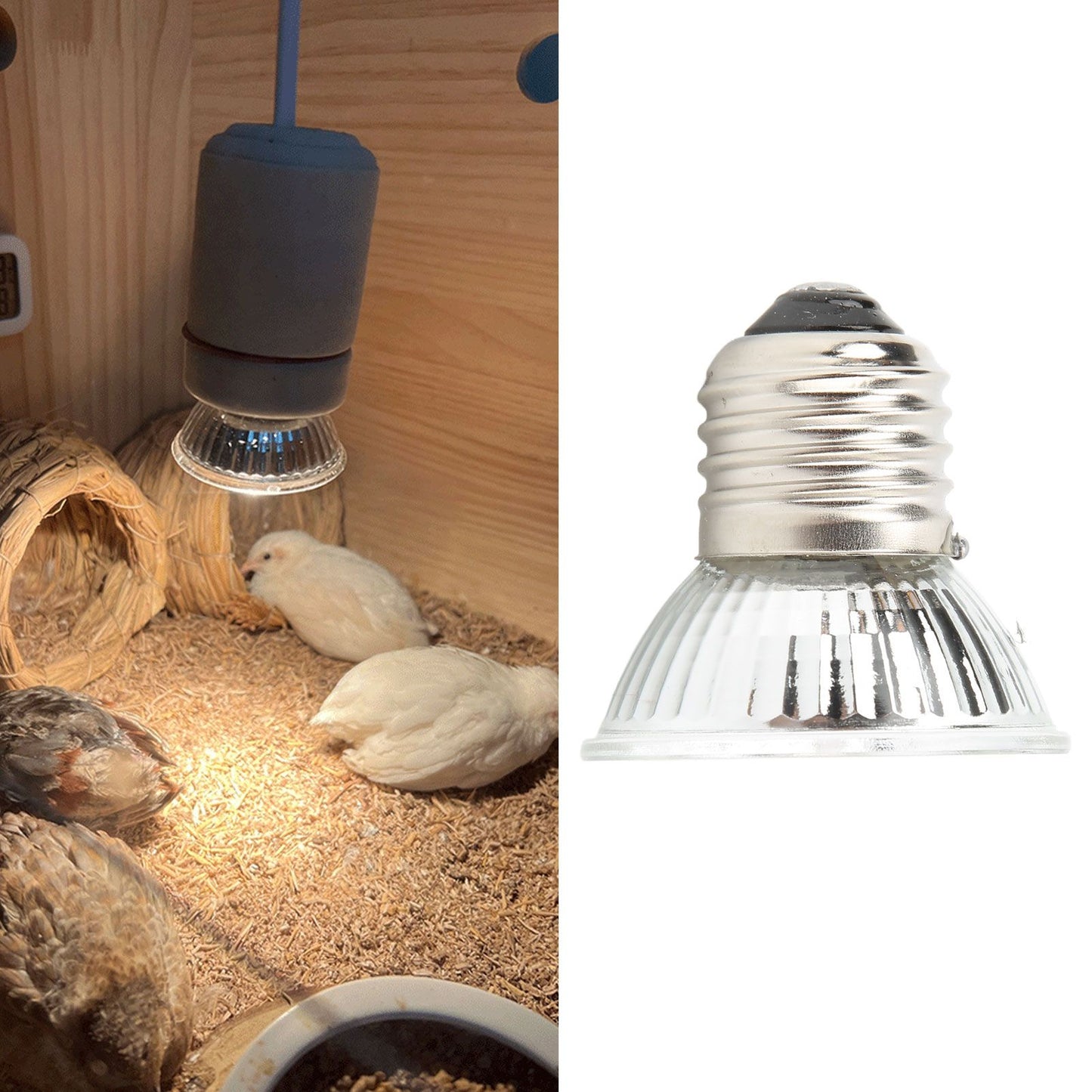 UVB Reptile Heat Lamp Bulbs Full Spectrum Energy Saving Sunbathe Heat Lamp for Amphibians 220‑240V Warm Light 75W