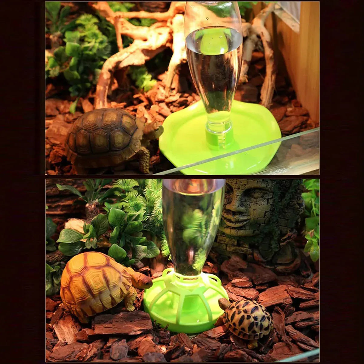 Reptile Water Bowl with Bottle for Lizard Gecko Snake Inverted Bottle Dispenser - Green Round L