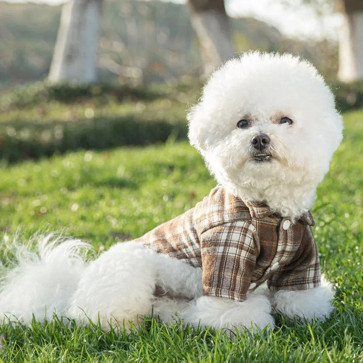 Soft Plaid T-shirt - Brown-S
