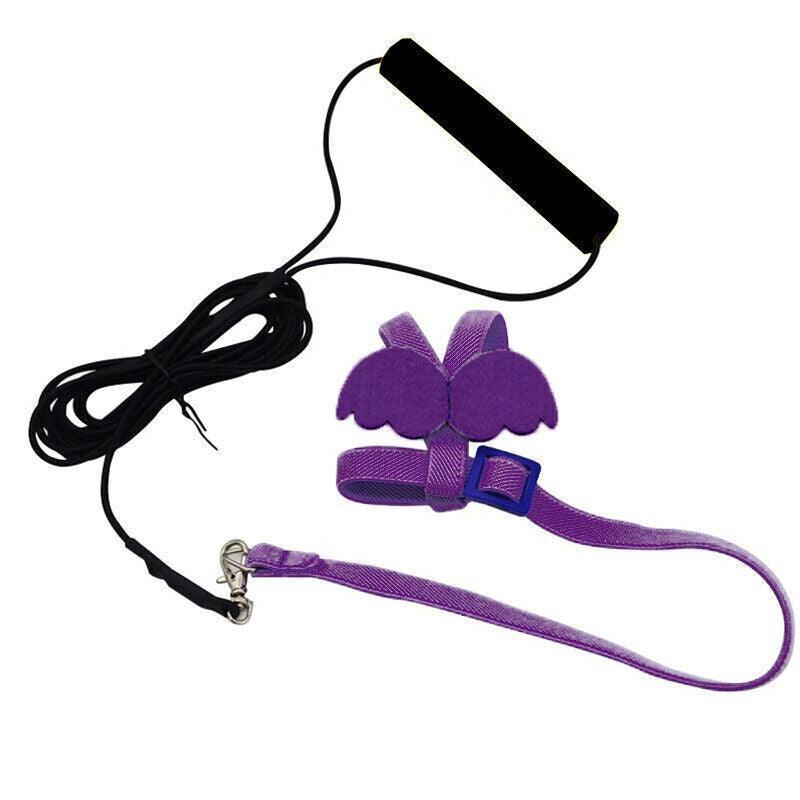 Parrot Bird Harness Leash Adjustable Flying Training Rope Cockatiel Conure Budgie - Blue