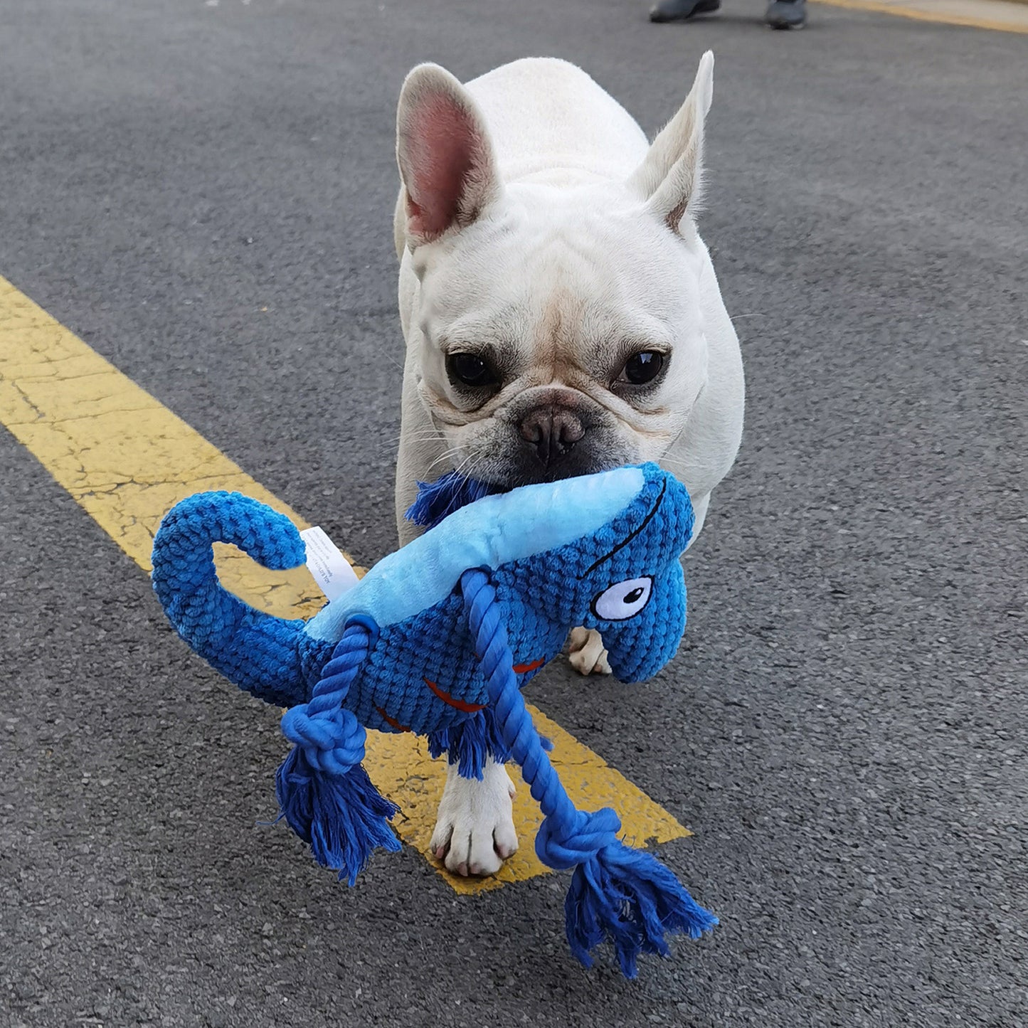 2 Pcs Purple Interactive Plush Chameleon Dog Toy with Squeaker & Rope Legs - Durable Chew Toy for Medium/Large Dogs, Teeth Cleaning Texture, Machine Washable (10.2in)