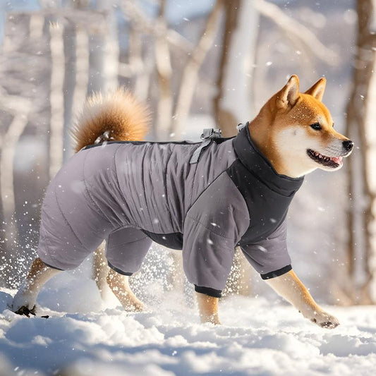 M Size Grey Winter Waterproof Dog 4 Leg Jumpsuit for Full Body Warmth